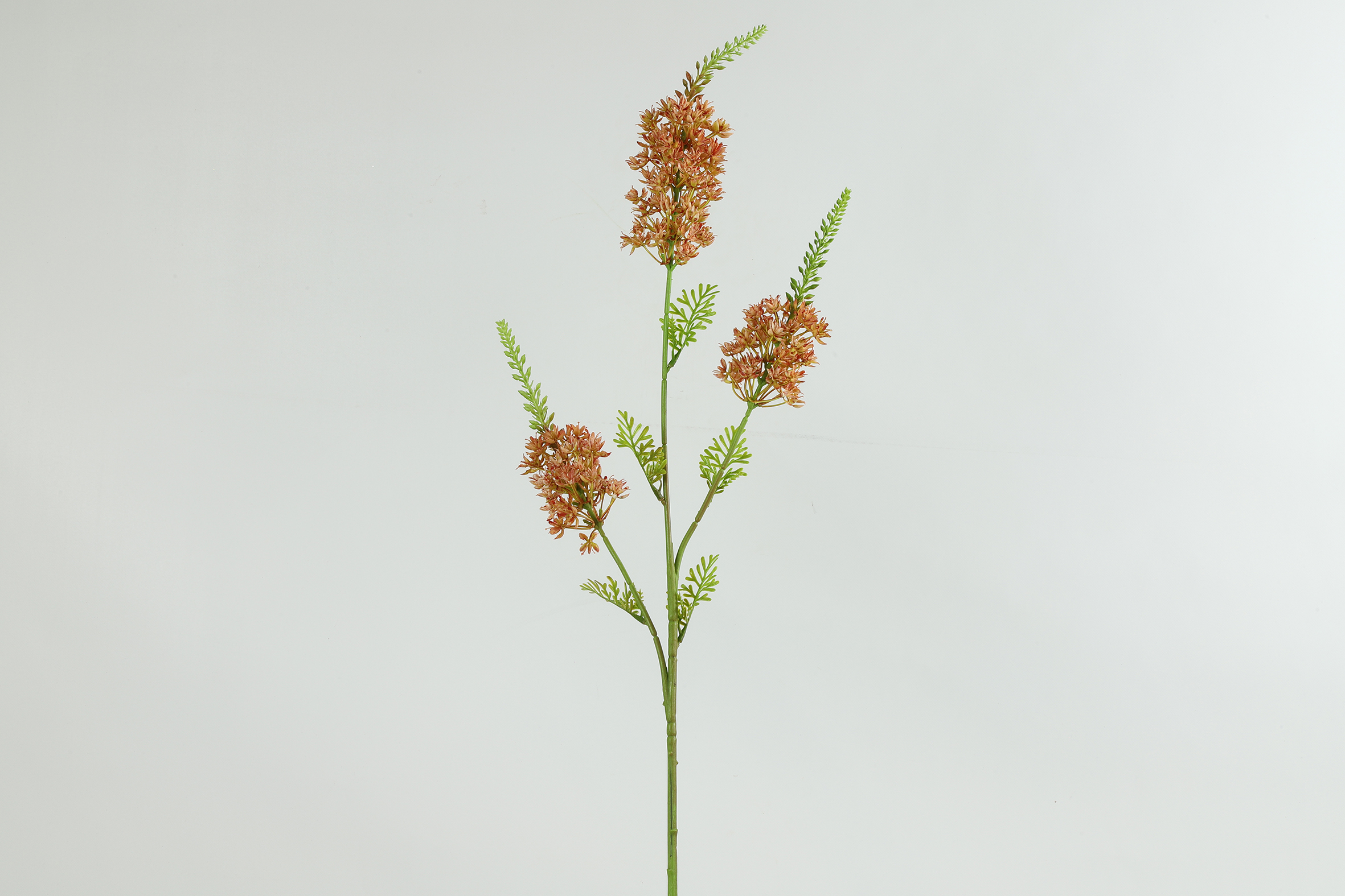 Kunstbloem Eremurus bruin-L5B20H94CM