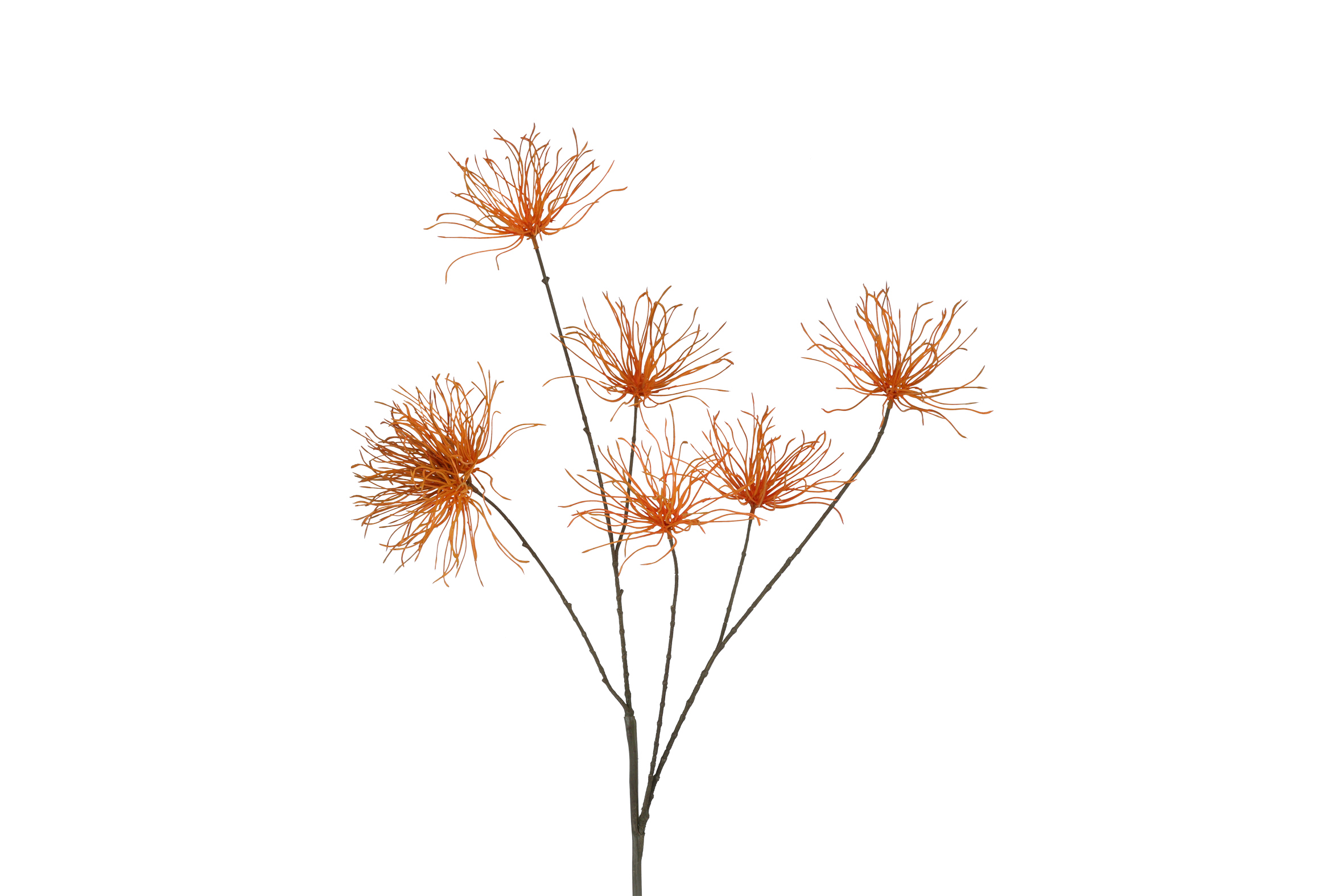 Kunstbloem Grevillea M l.bruin-L111B25H13CM