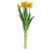 Tulipa boeket geel/oranje