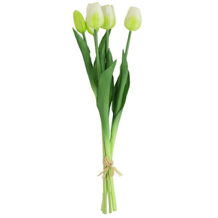 Tulipa boeket wit