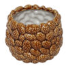 Vaas ro Pine cone L bruin