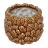 Vaas ro Pine cone M bruin