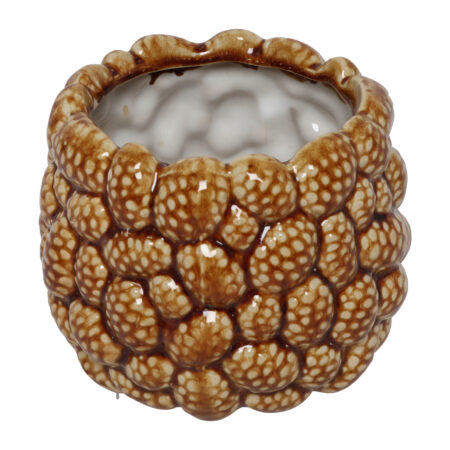 Vaas ro Pine cone M bruin