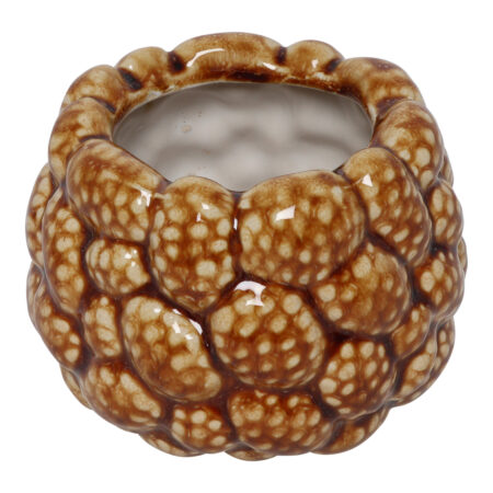 Vaas ro Pine cone S bruin