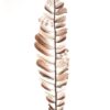 Decotak veren 60cm | HBX Natural Living