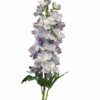 Delphinium Diva light blue 90cm
