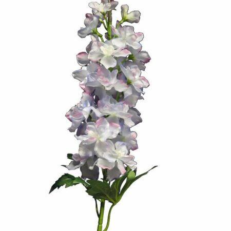 Delphinium Diva light blue 90cm