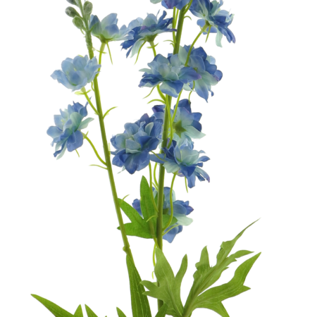 Delphinium Finn spray blue 85cm 12908