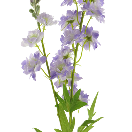 Delphinium Finn spray purple 85cm 12908