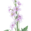 Delphinium akana purple 125cm