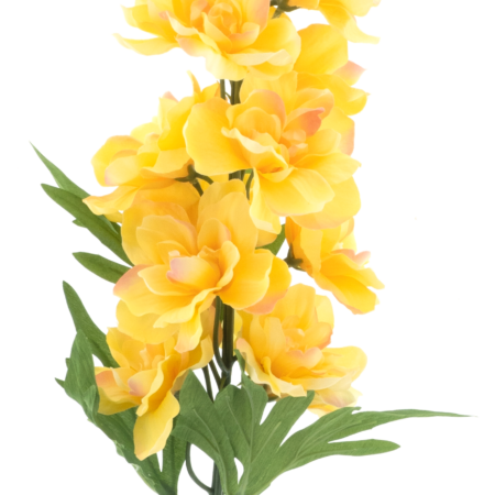 Delphinium spray Christel yellow 91cm