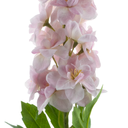 Delphinium spray Roland lt pink 87cm