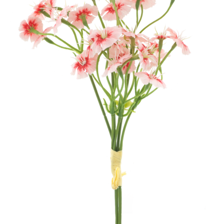 Dianthus bundle pink 27cm