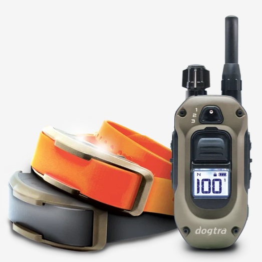 1202X - Trainingsband hond