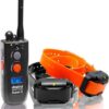 3502NCP - Trainingsband hond - Zwart