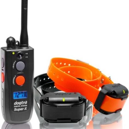 3502NCP - Trainingsband hond - Zwart