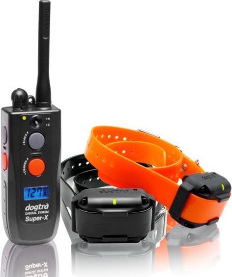 3502NCP - Trainingsband hond - Zwart