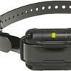 Losse Trainings Halsband IQ Plus Zwart