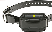 Losse Trainings Halsband IQ Plus Zwart