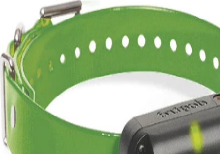 halsband 2600 / 2602T&B - Groen