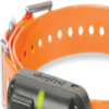 halsband 2600 / 2602T&B - oranje