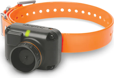 halsband 2600 / 2602T&B - Oranje