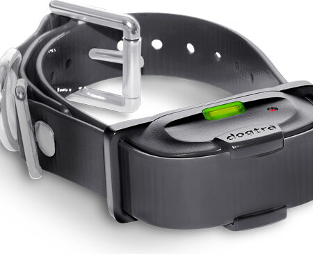 halsband IQ Mini