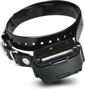 halsband IQ Plus