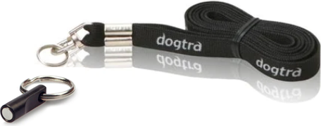 zwart koort met activeringsmagneet