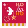 Duni Servetten Festive Joy 33x33cm | Duni
