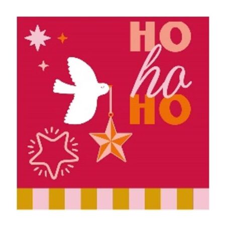 Duni Servetten Festive Joy 33x33cm | Duni