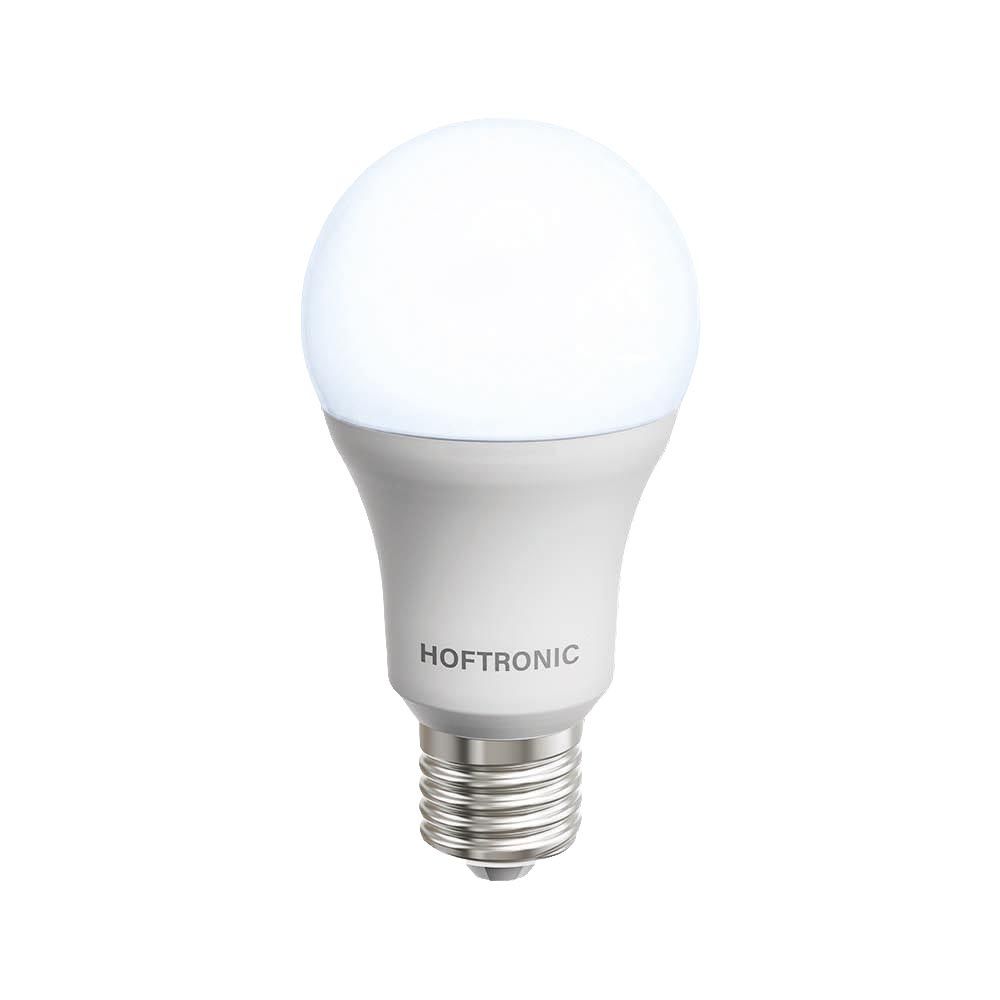 E27 LED Lamp - 13 Watt 1521 lumen - 6500K Daglicht wit - Grote fitting - Vervangt 130 Watt | HOFTRONIC