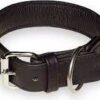 Eco Lederen Halsband - 40mm x 50cm