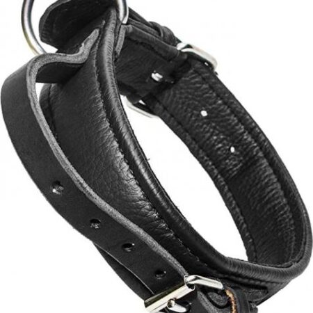 Eco Lederen halsband - Met handvat - 40mm x 45cm