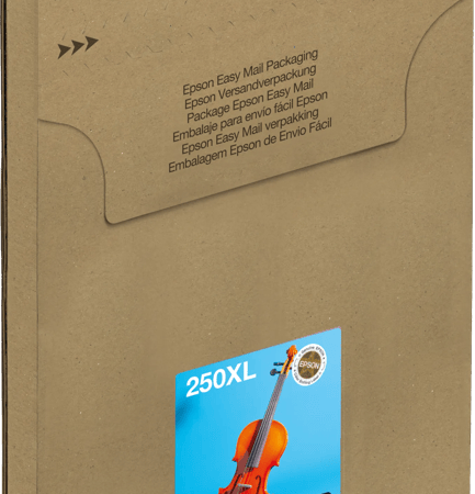 Epson 250 Combo Pack XL
