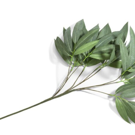 Eucalyptus branch H95cm