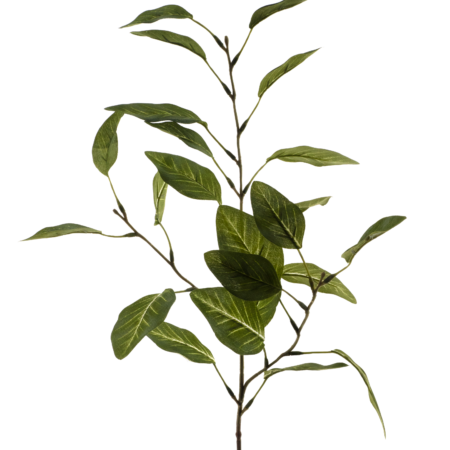 Eucalyptus leafspray green 68cm