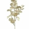Eucalyptus metallic champagne