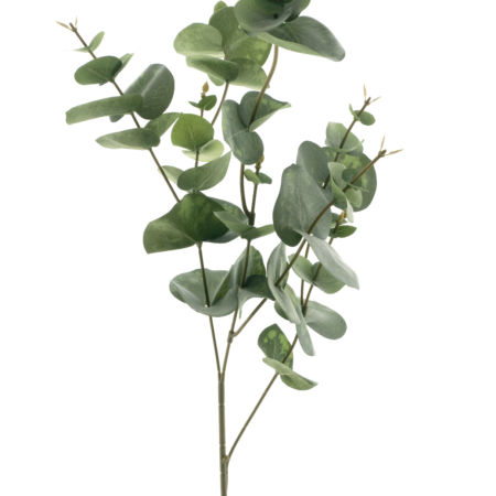 Eucalyptus spray spring green 81cm