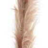 Feather spray mauve 160cm