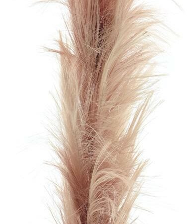 Feather spray mauve 160cm