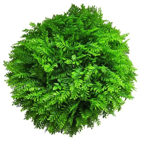 Fern ball green 40cm (6 month UV-protected)