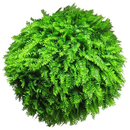 Fern ball green 50cm (6 month UV-protected)