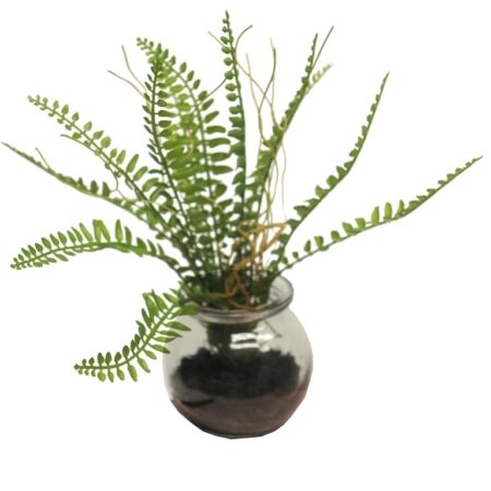 Fern in glass pot green 20cm