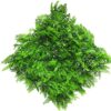 Fern mat (6 month UV-protected) green 50x50cm