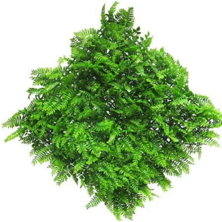 Fern mat (6 month UV-protected) green 50x50cm