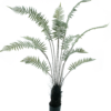 Fern tree in pot green 150cm