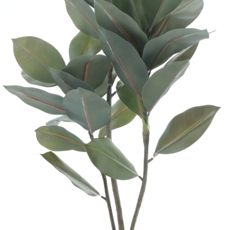 Ficus elastica plantin pot green 105cm