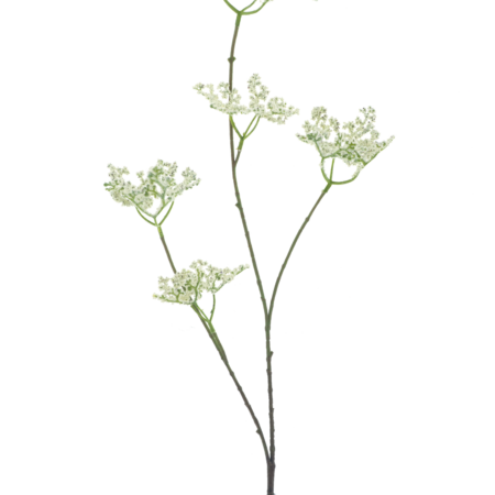 Five clawed dragonspray cream 93cm