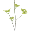 Five clawed dragonspray green 93cm